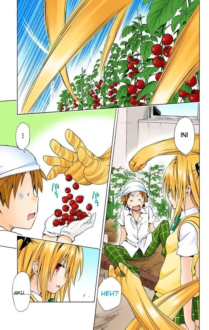 image-komik-to-love-ru-darkness-chapter-53-29/40