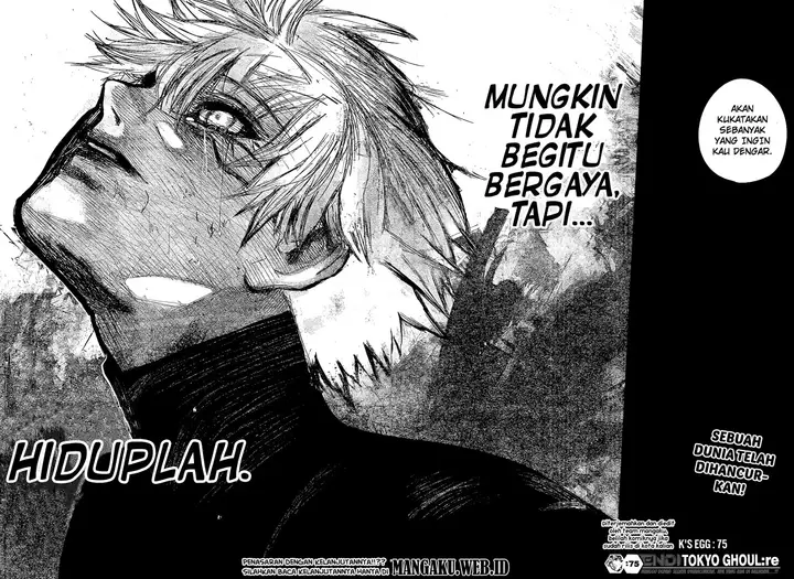 image-komik-tokyo-ghoulre-chapter-75-17/18