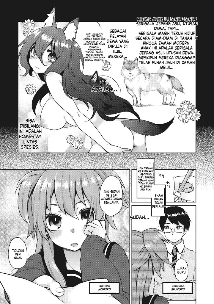 image-komik-torokemo-majoccoid-chapter-01-5/29