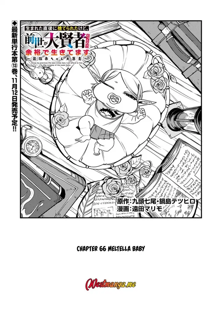 image-komik-umareta-chokugo-ni-suterareta-kedo-zensei-ga-taikensha-datta-node-yoyuu-de-ikitemasu-chapter-66-1/29