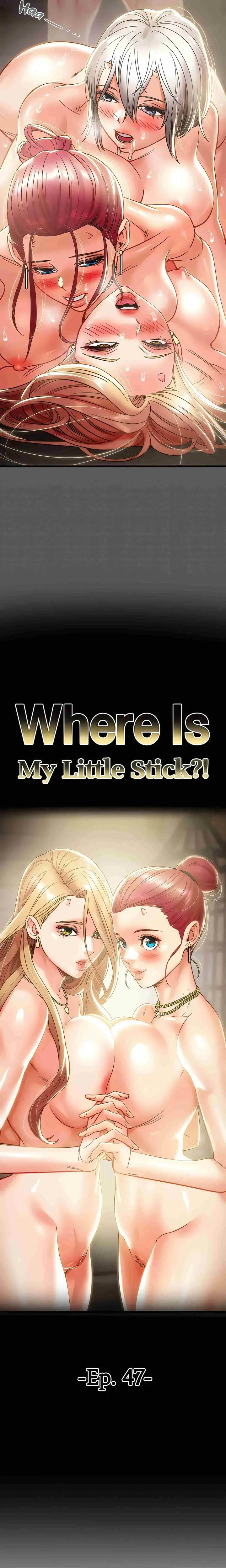 image-komik-where-is-my-little-stick-uncen-chapter-47-2/45