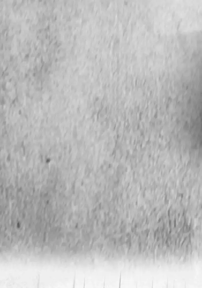 image-komik-wind-breaker-chapter-143-55/62