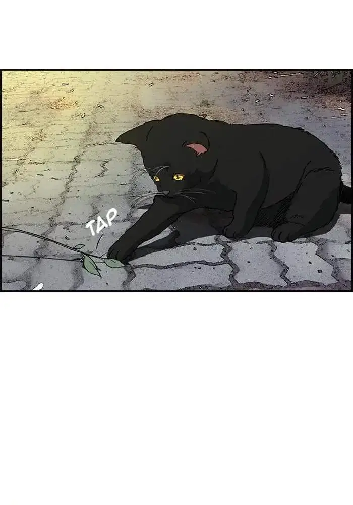 image-komik-wind-breaker-chapter-167-44/73