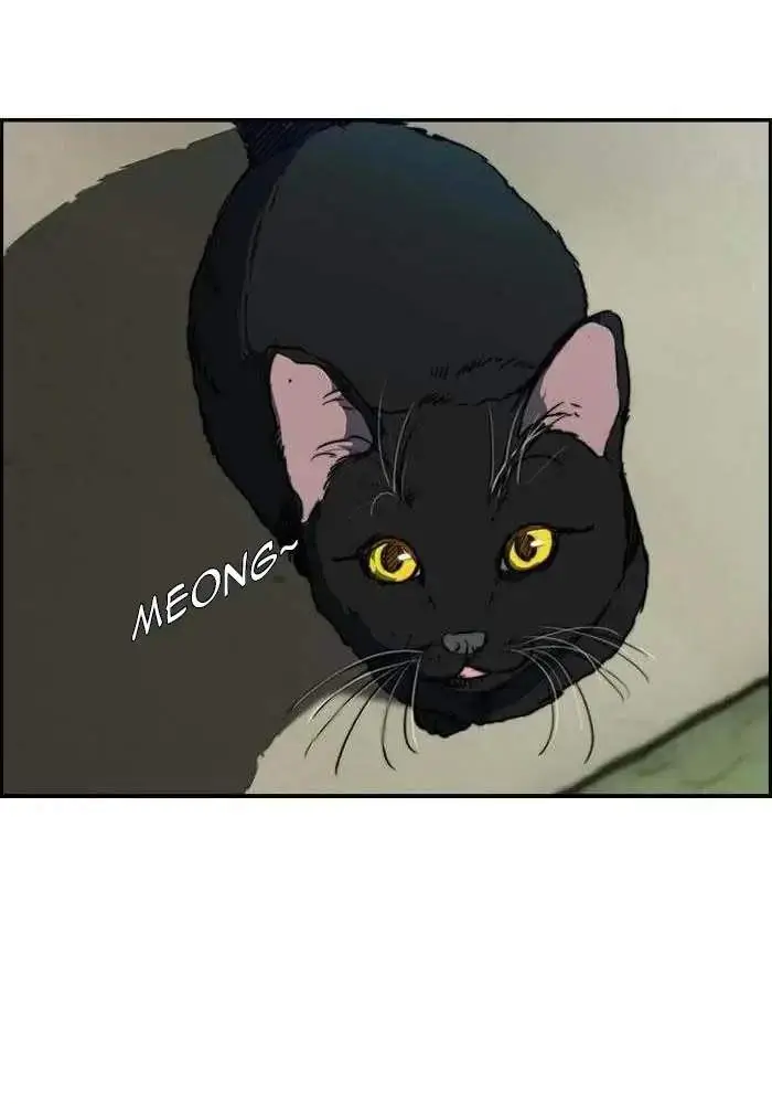 image-komik-wind-breaker-chapter-168-27/71