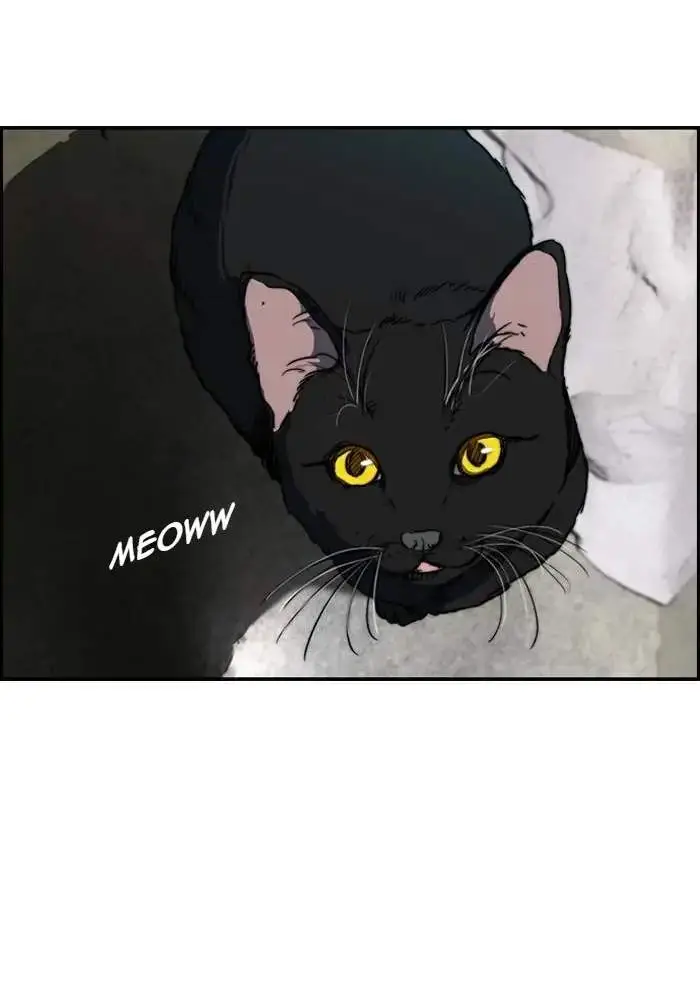 image-komik-wind-breaker-chapter-172-67/75