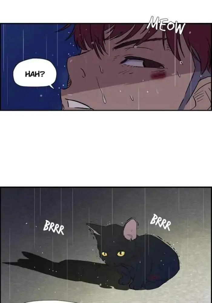 image-komik-wind-breaker-chapter-18-33/74