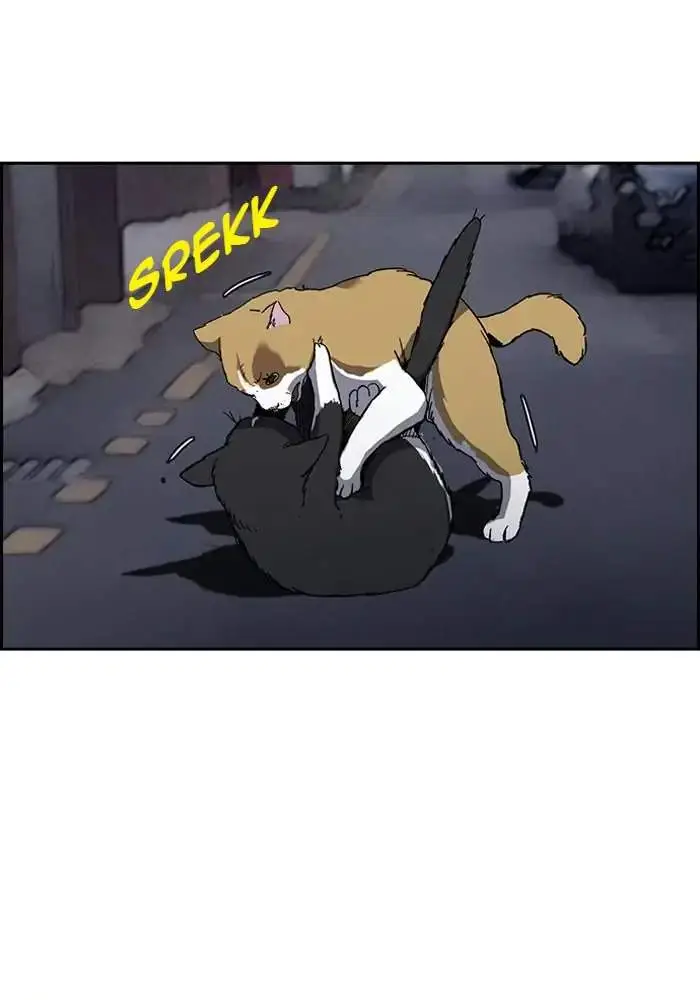 image-komik-wind-breaker-chapter-237-1/92