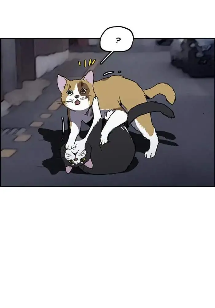 image-komik-wind-breaker-chapter-237-2/92