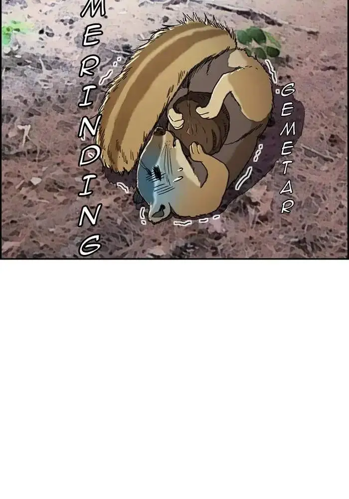 image-komik-wind-breaker-chapter-260-35/136