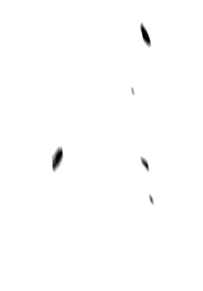 image-komik-wind-breaker-chapter-260-118/136