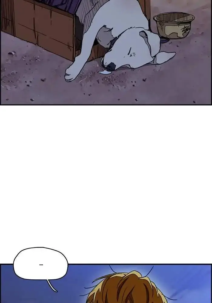 image-komik-wind-breaker-chapter-291-32/137