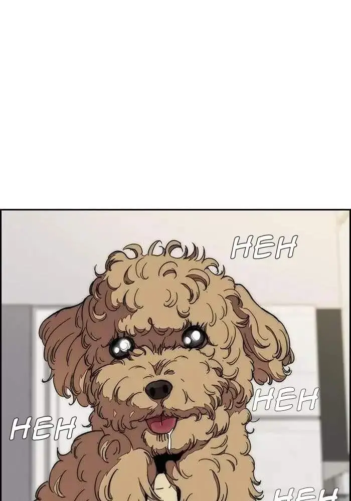 image-komik-wind-breaker-chapter-319-99/129