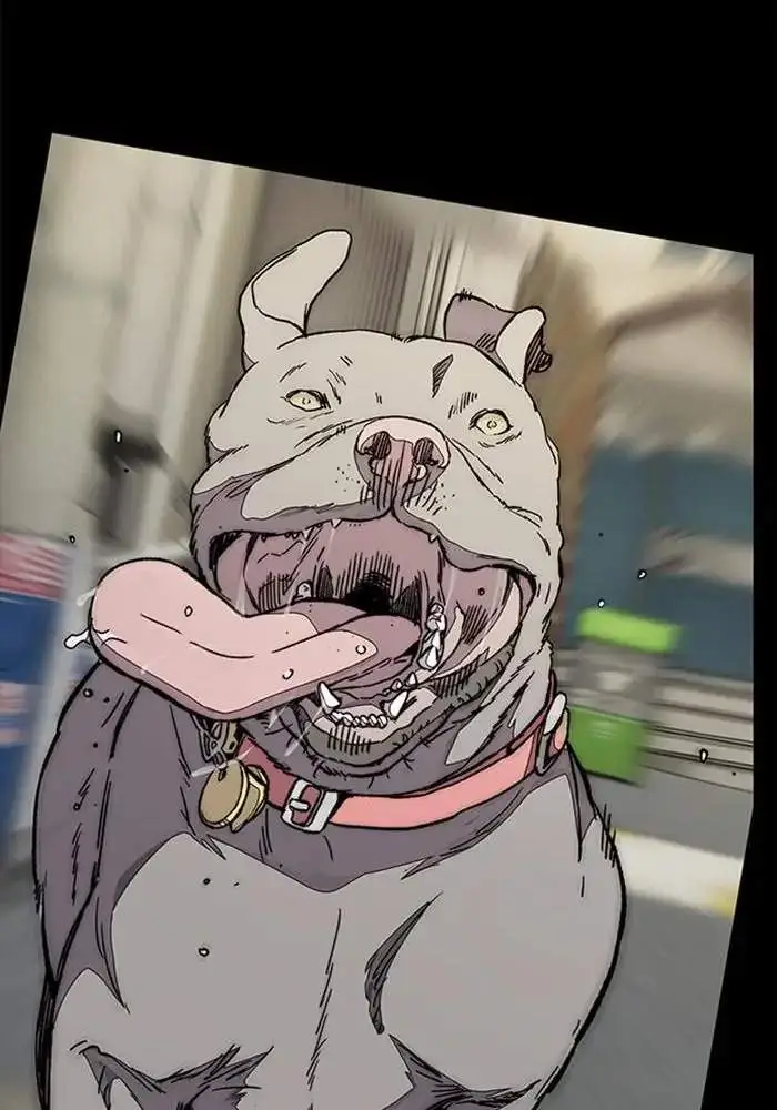 image-komik-wind-breaker-chapter-338-120/155