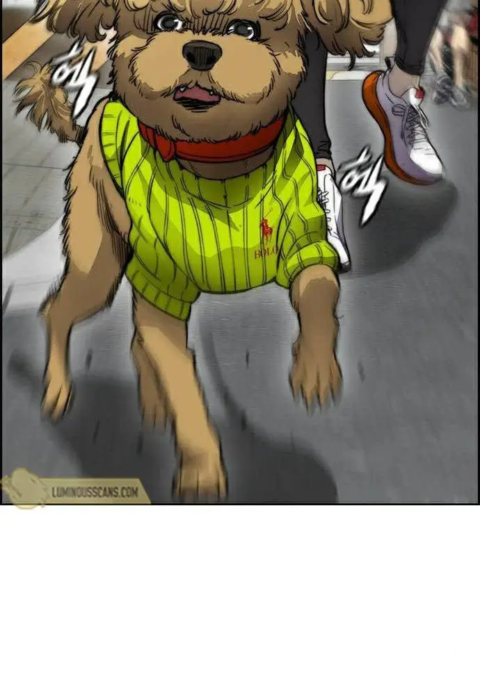 image-komik-wind-breaker-chapter-387-36/91