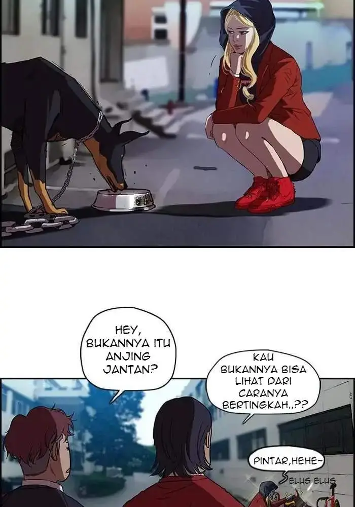 image-komik-wind-breaker-chapter-61-23/49