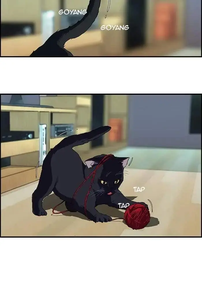 image-komik-wind-breaker-chapter-77-37/59