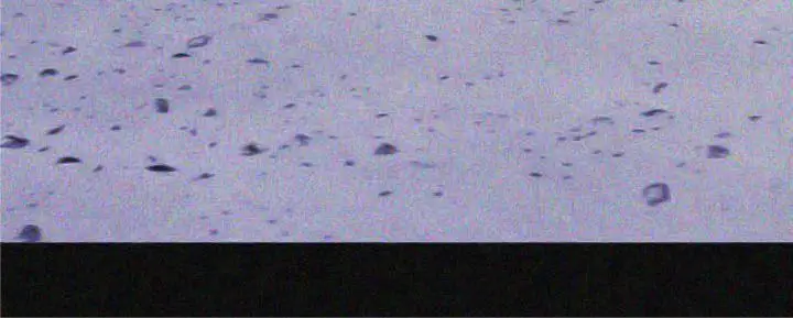 image-komik-wonderful-new-world-chapter-19-6/16