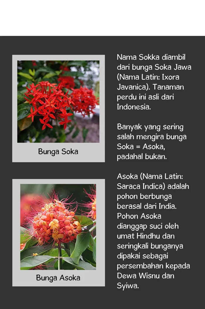 Halaman 43 dari 44