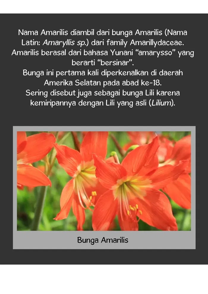Halaman 43 dari 50