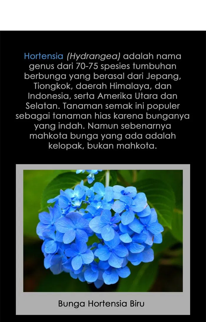 Halaman 52 dari 54
