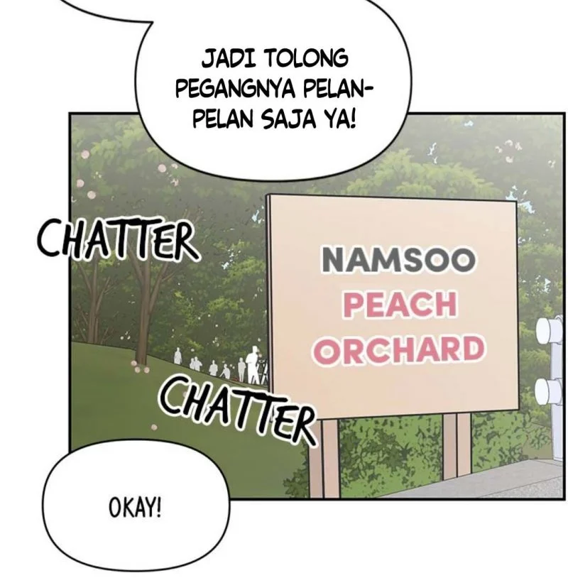 Halaman 33 dari 61