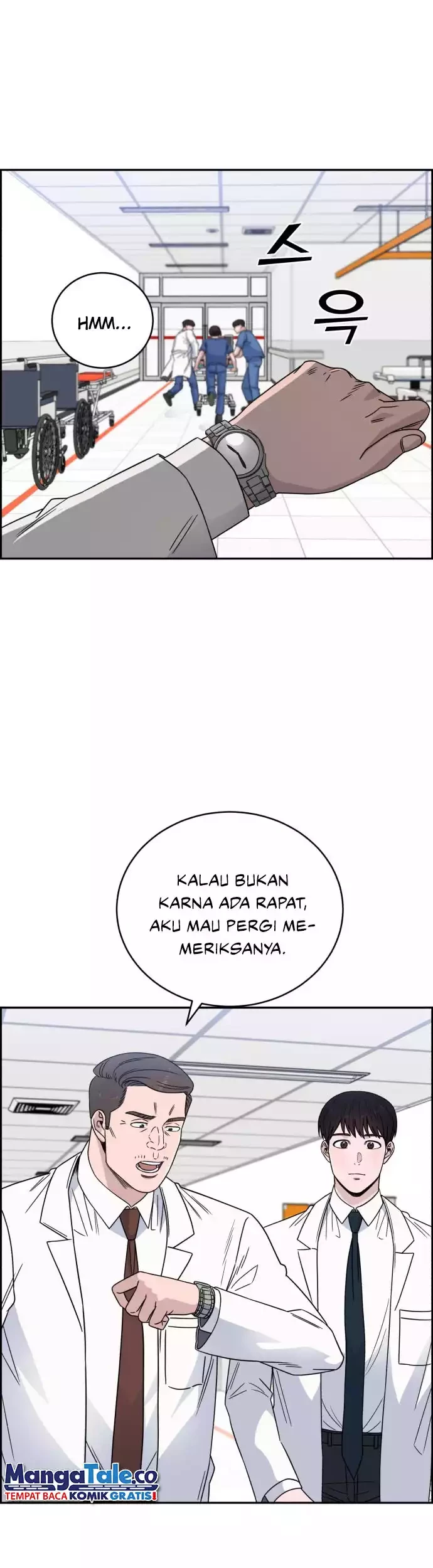 Halaman 3 dari 52