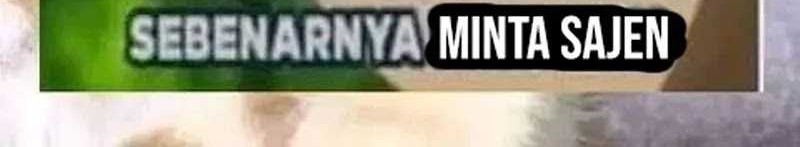 Halaman 30 dari 30