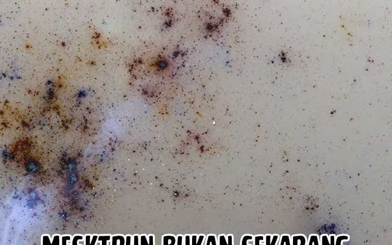 Halaman 86 dari 101