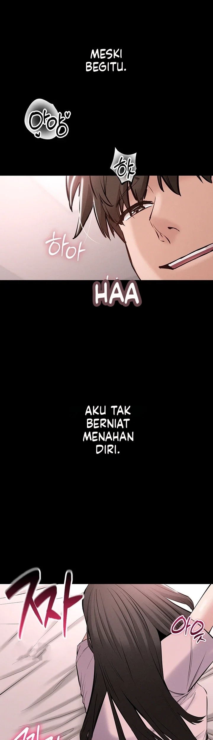 Halaman 51 dari 55
