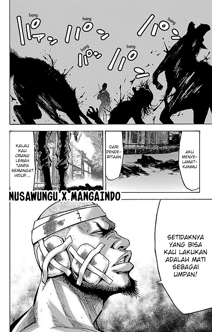 Halaman 5 dari 33