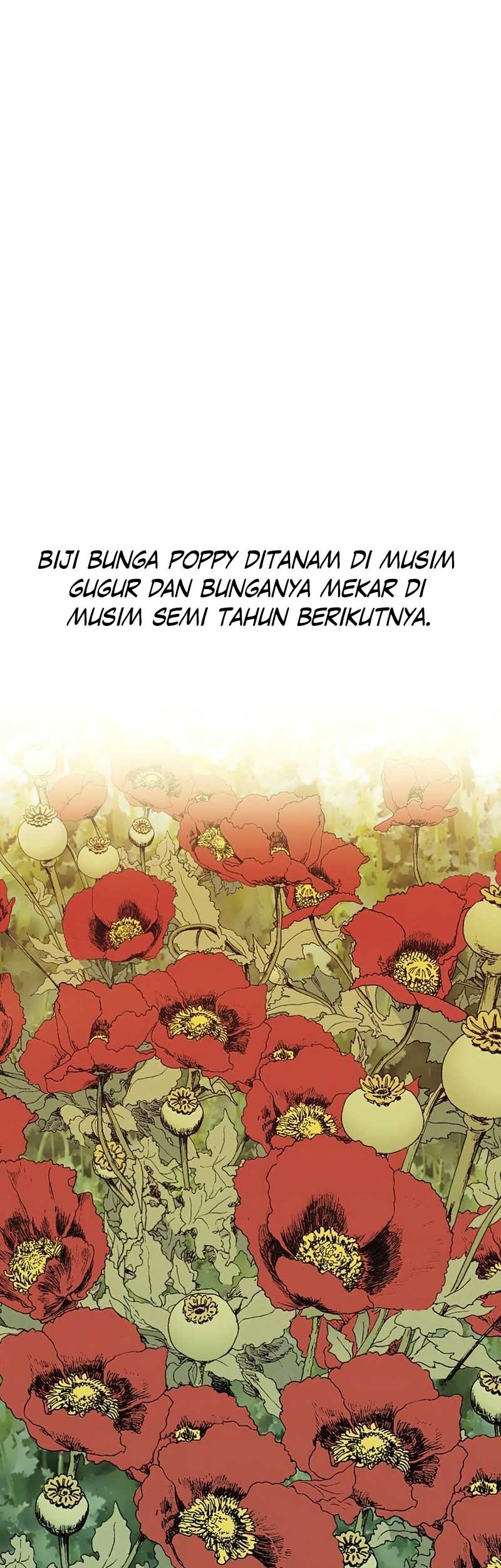 Halaman 12 dari 67