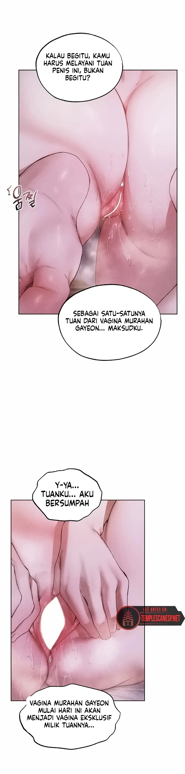 Halaman 3 dari 31
