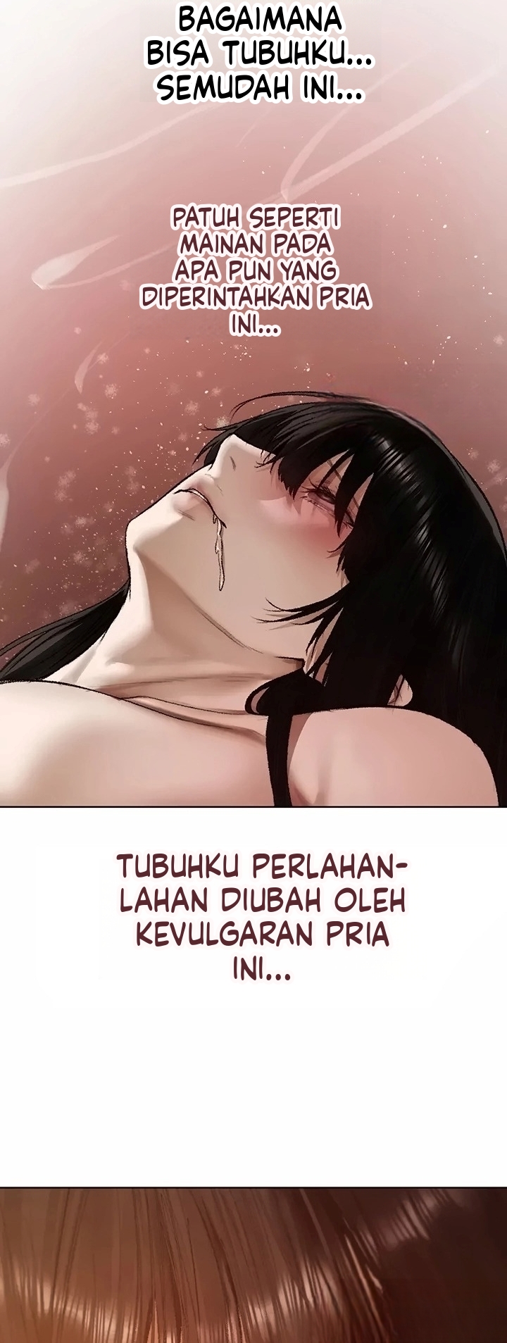 Halaman 47 dari 52