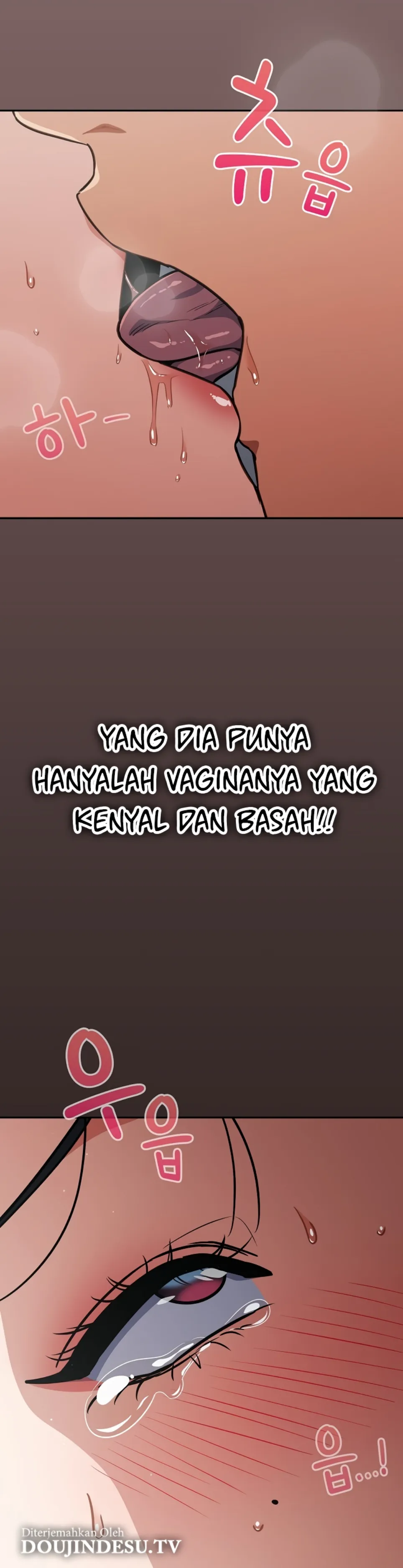 Halaman 17 dari 43