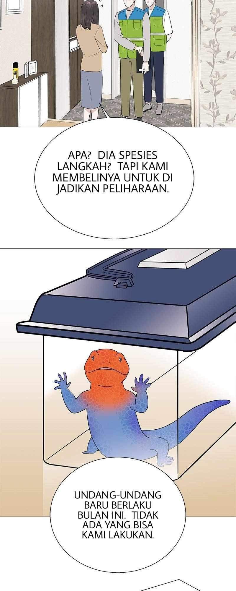 Halaman 14 dari 56