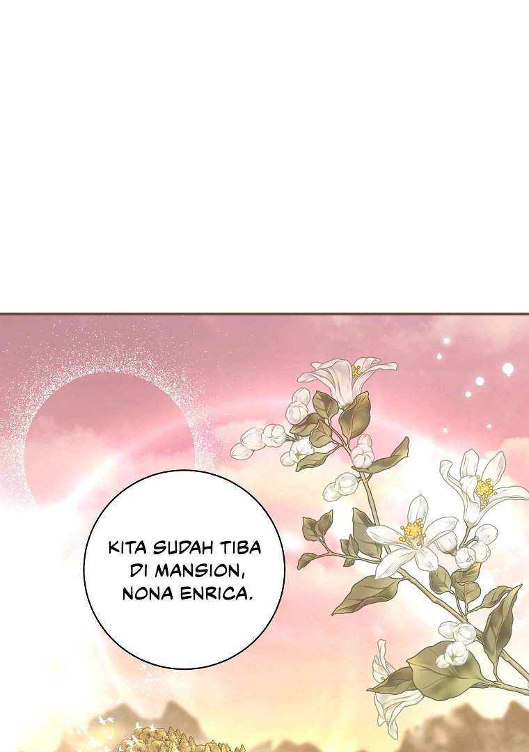 Halaman 4 dari 113