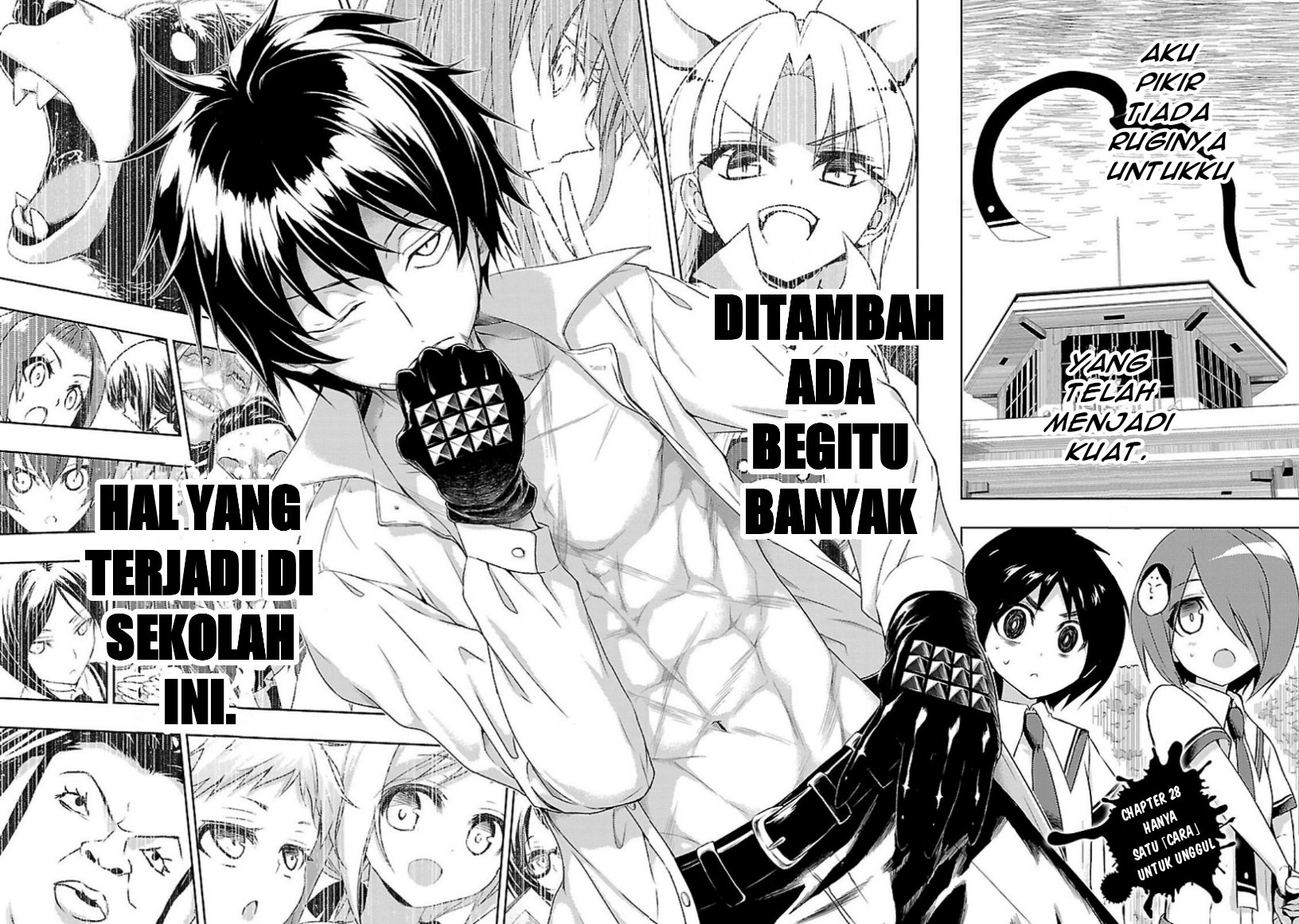Halaman 4 dari 33