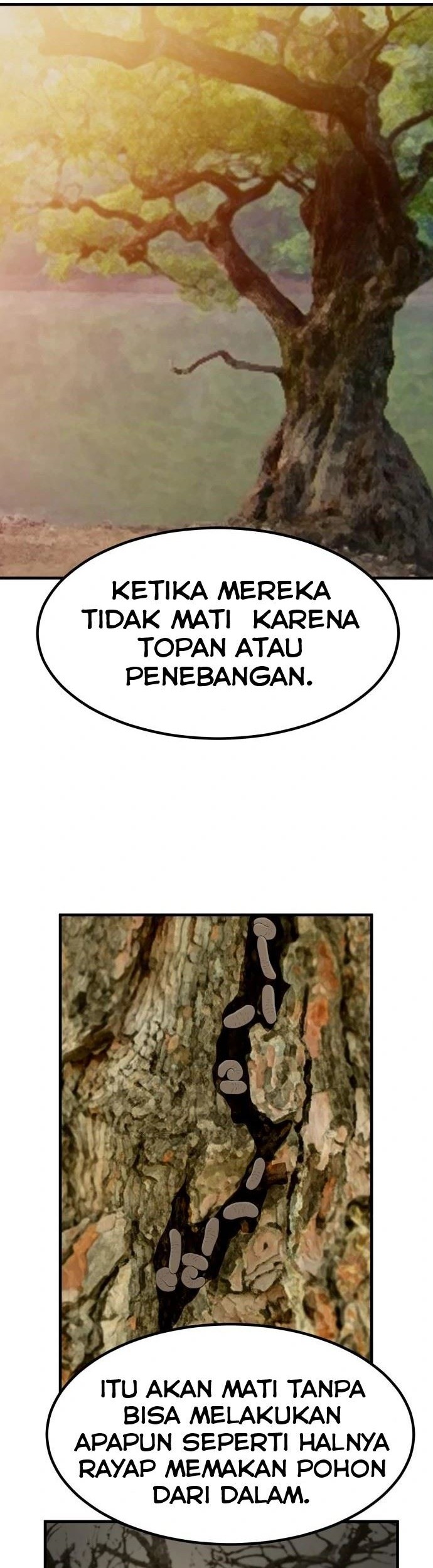 Halaman 102 dari 145