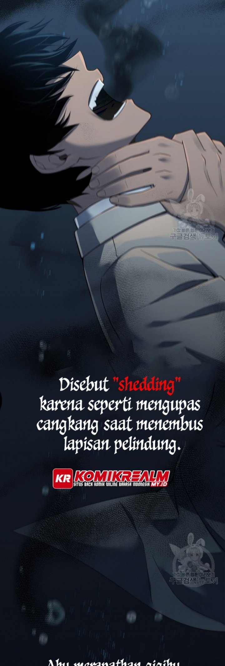 Halaman 43 dari 81