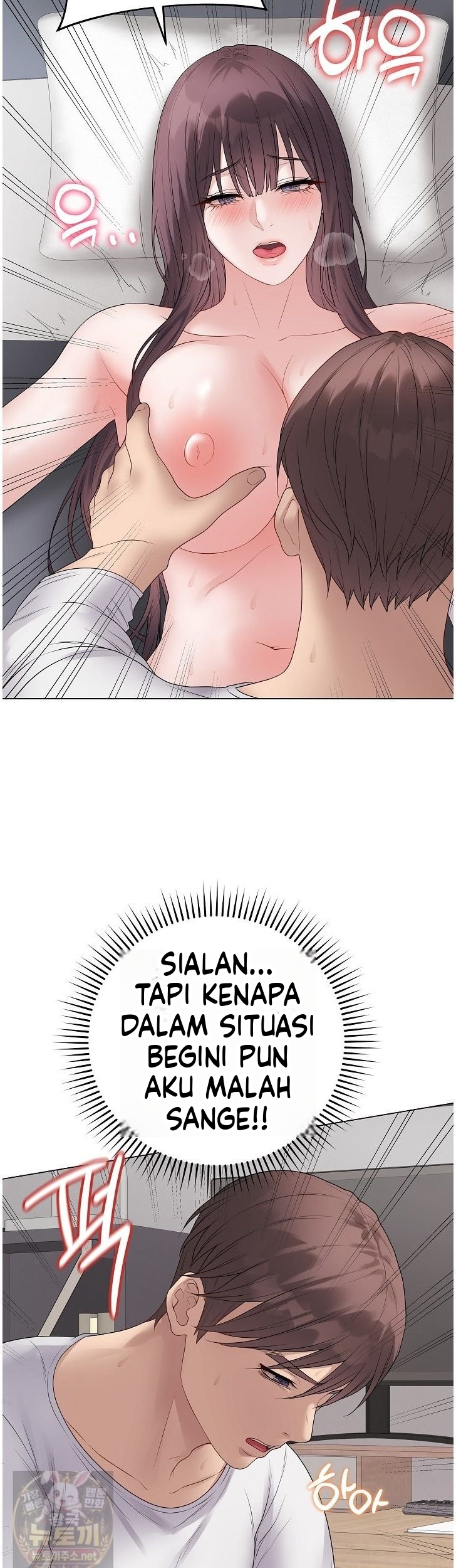 Halaman 19 dari 50