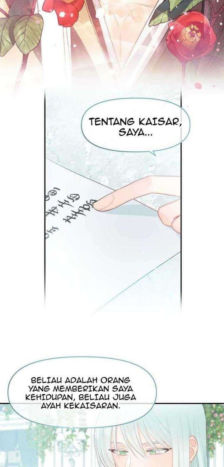 Halaman 3 dari 49