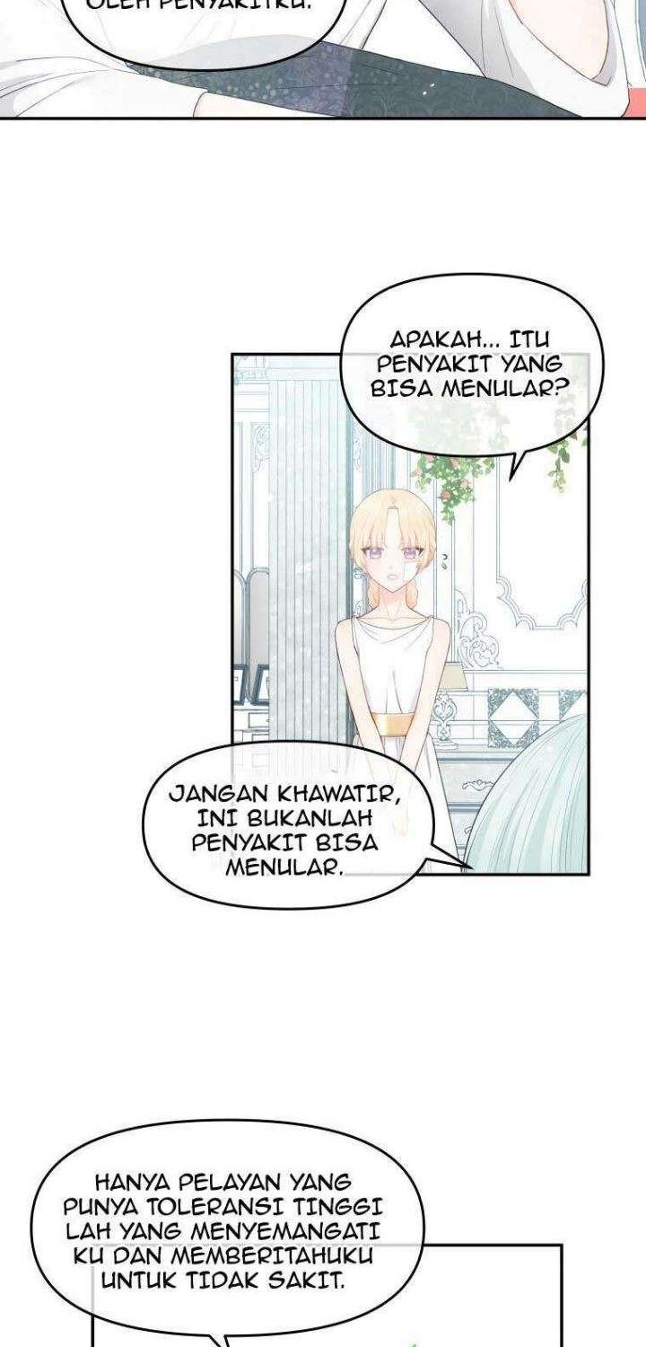 Halaman 11 dari 51