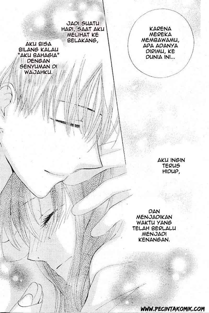 Halaman 24 dari 31