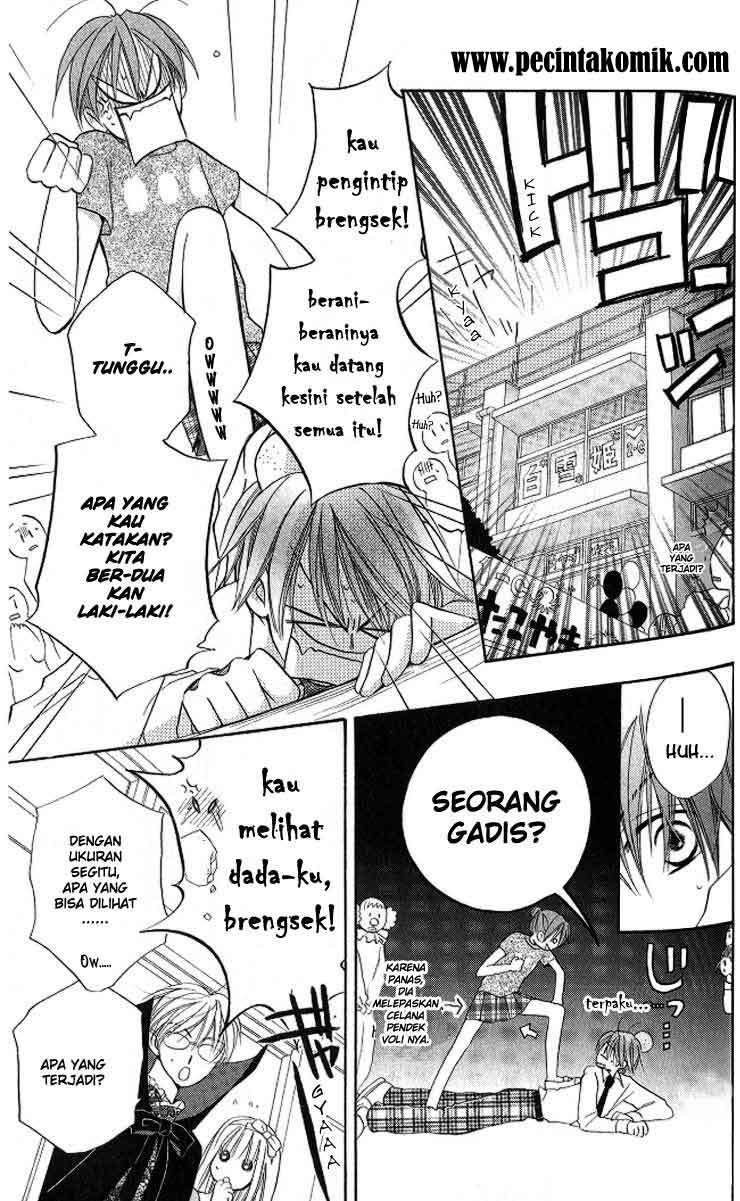 Halaman 8 dari 31