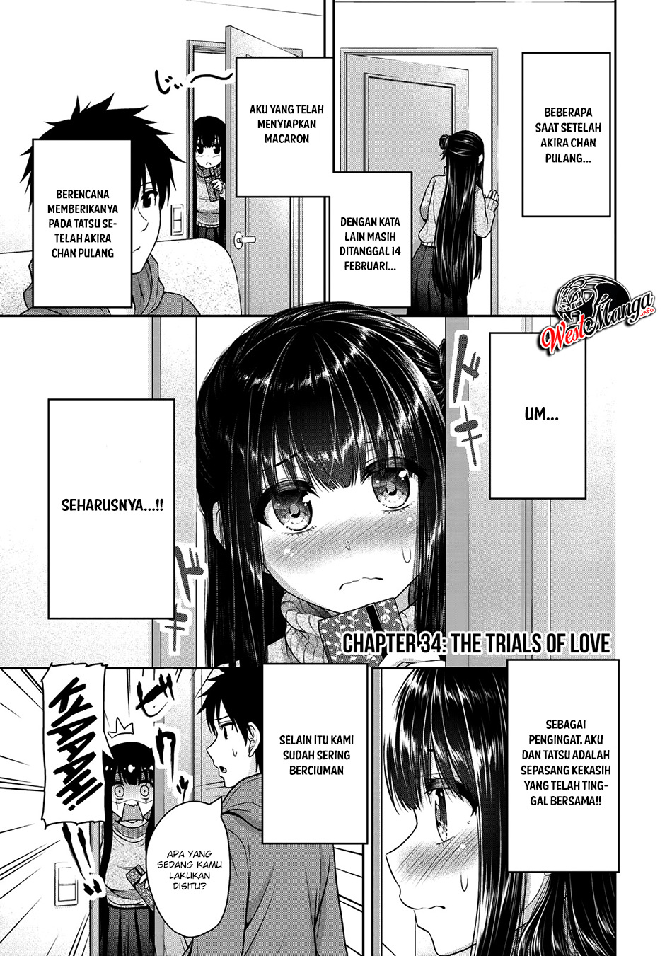 Halaman 3 dari 11