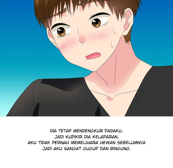 Halaman 33 dari 62