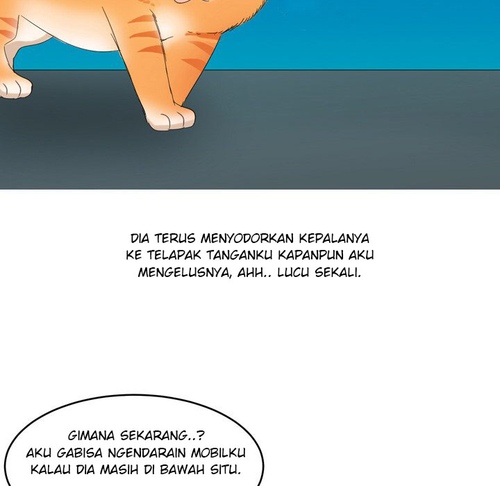 Halaman 43 dari 62