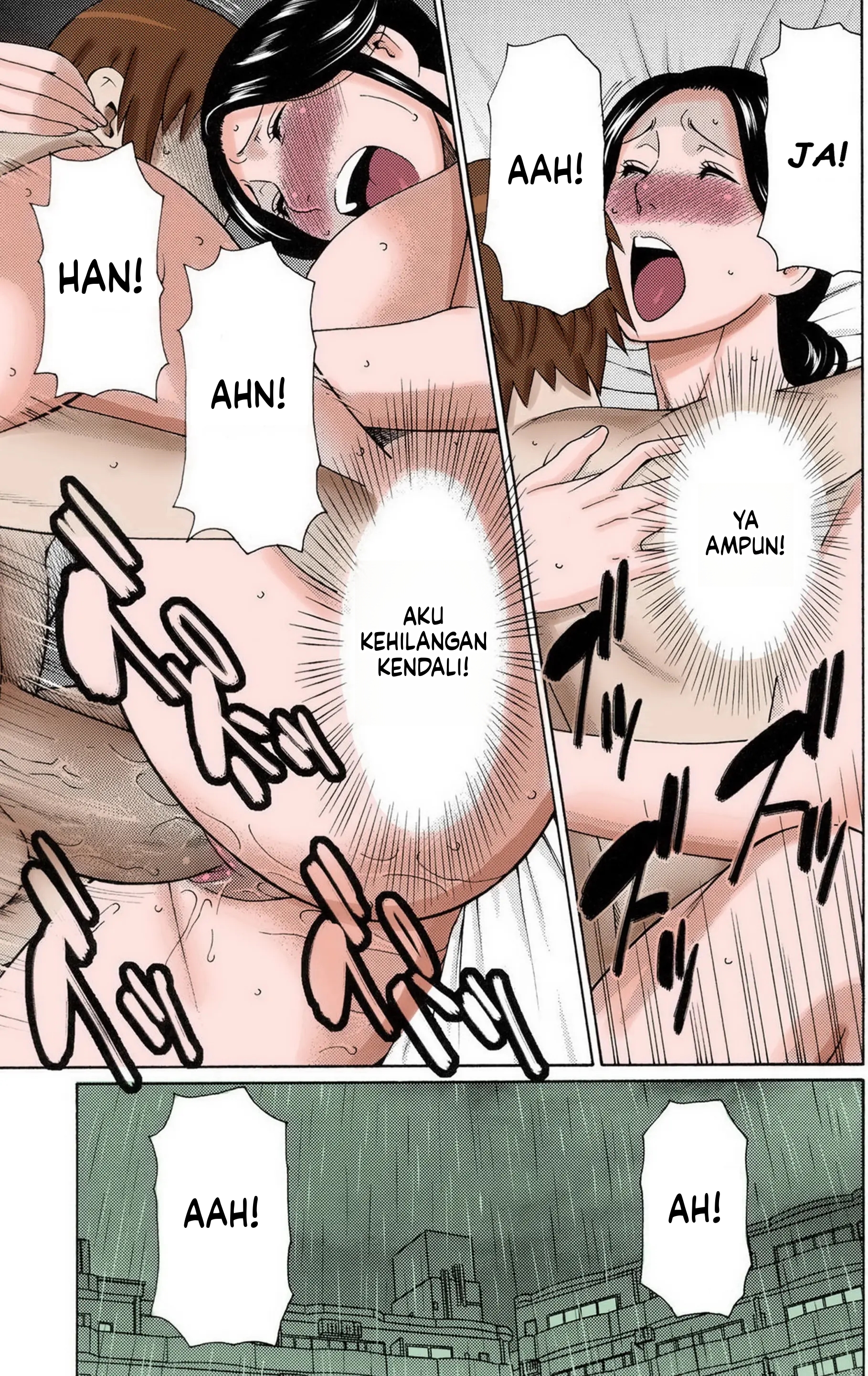 Halaman 17 dari 24