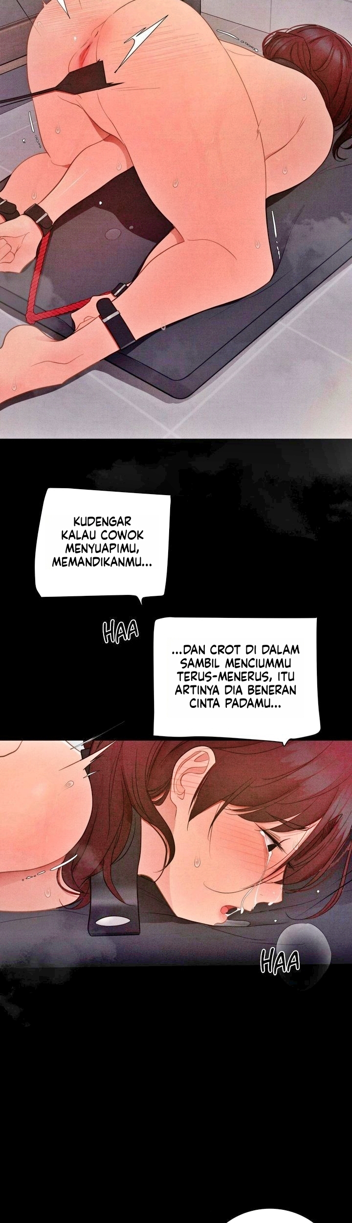 Halaman 4 dari 29