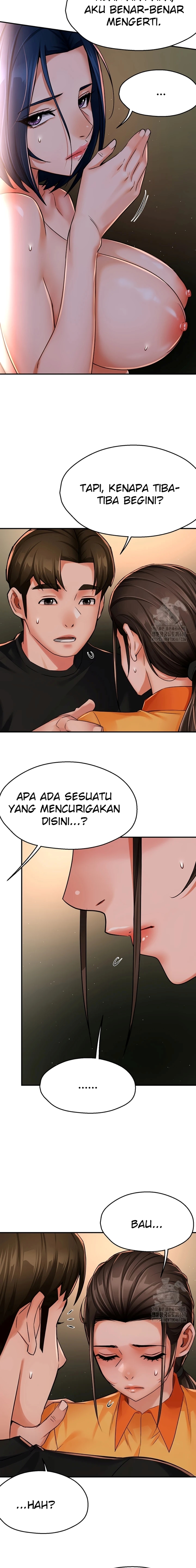 Halaman 11 dari 17